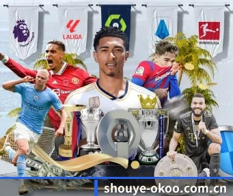 shouye-okoo.com.cn APP